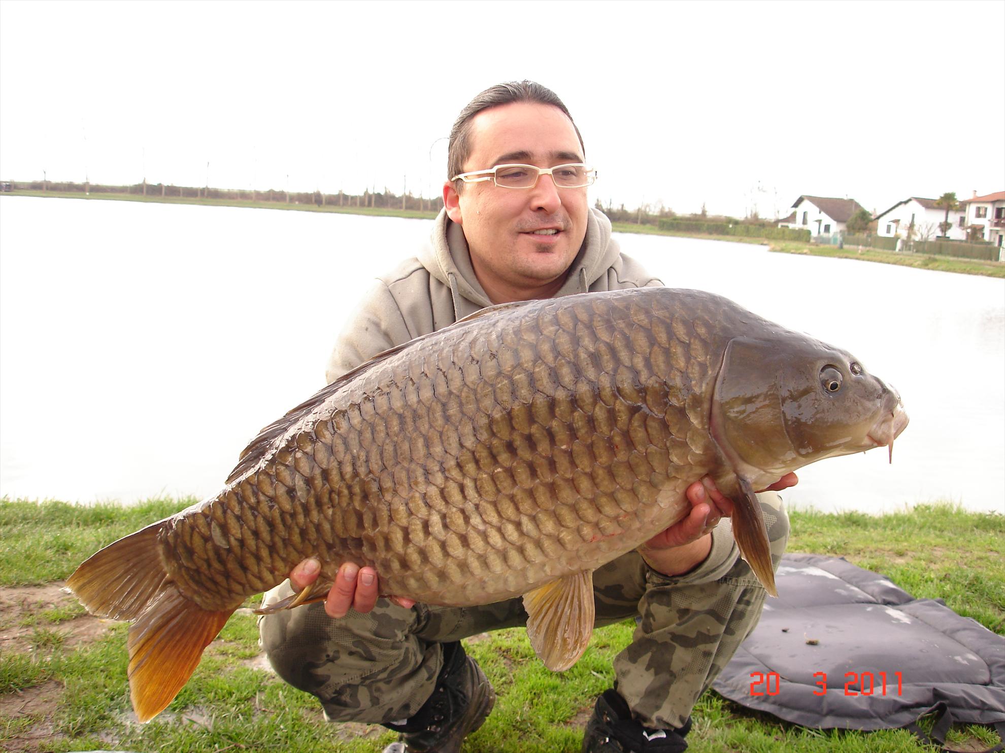 THE BIGS OF 2011 - p1000085.JPG